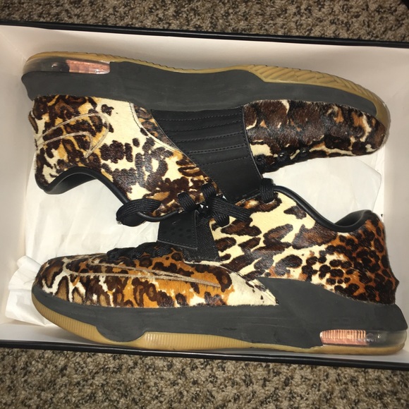 kd 7 longhorn